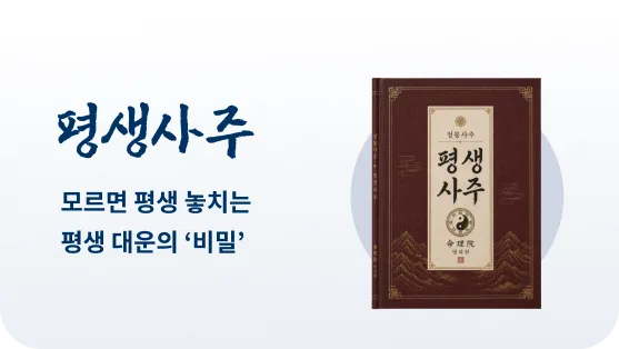 평생사주 보고서