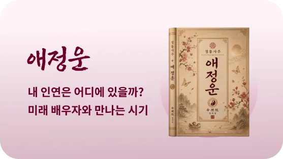 애정운 보고서