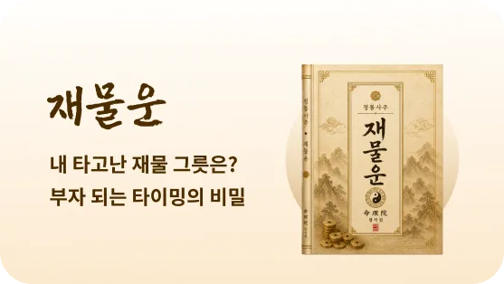 재물운 보고서